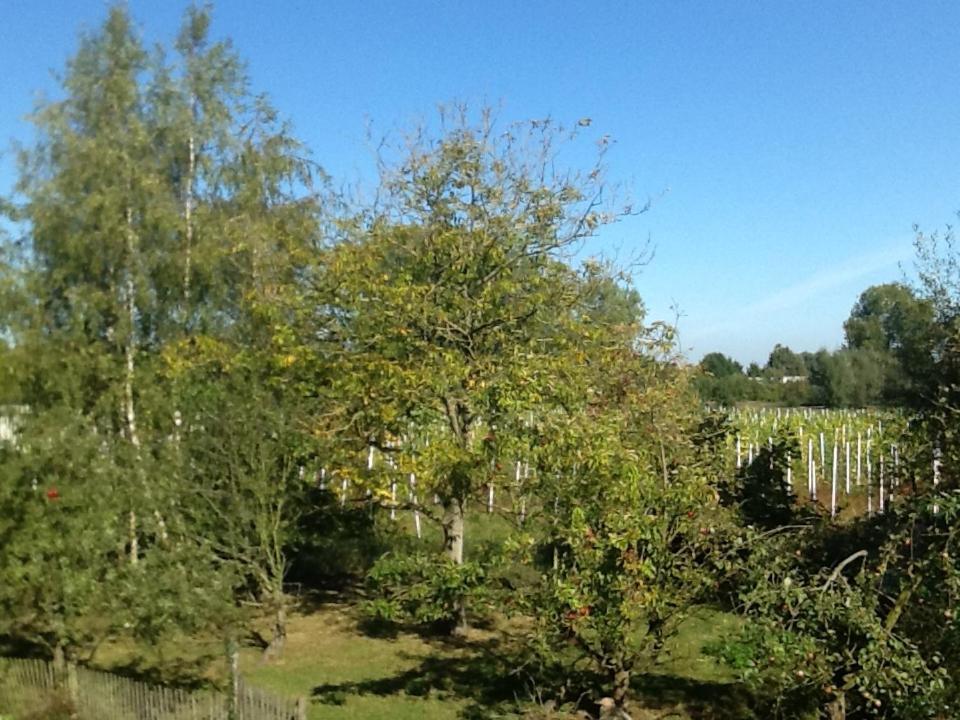 Bed and Breakfast Hof Van Loverrijk Lier Exterior foto